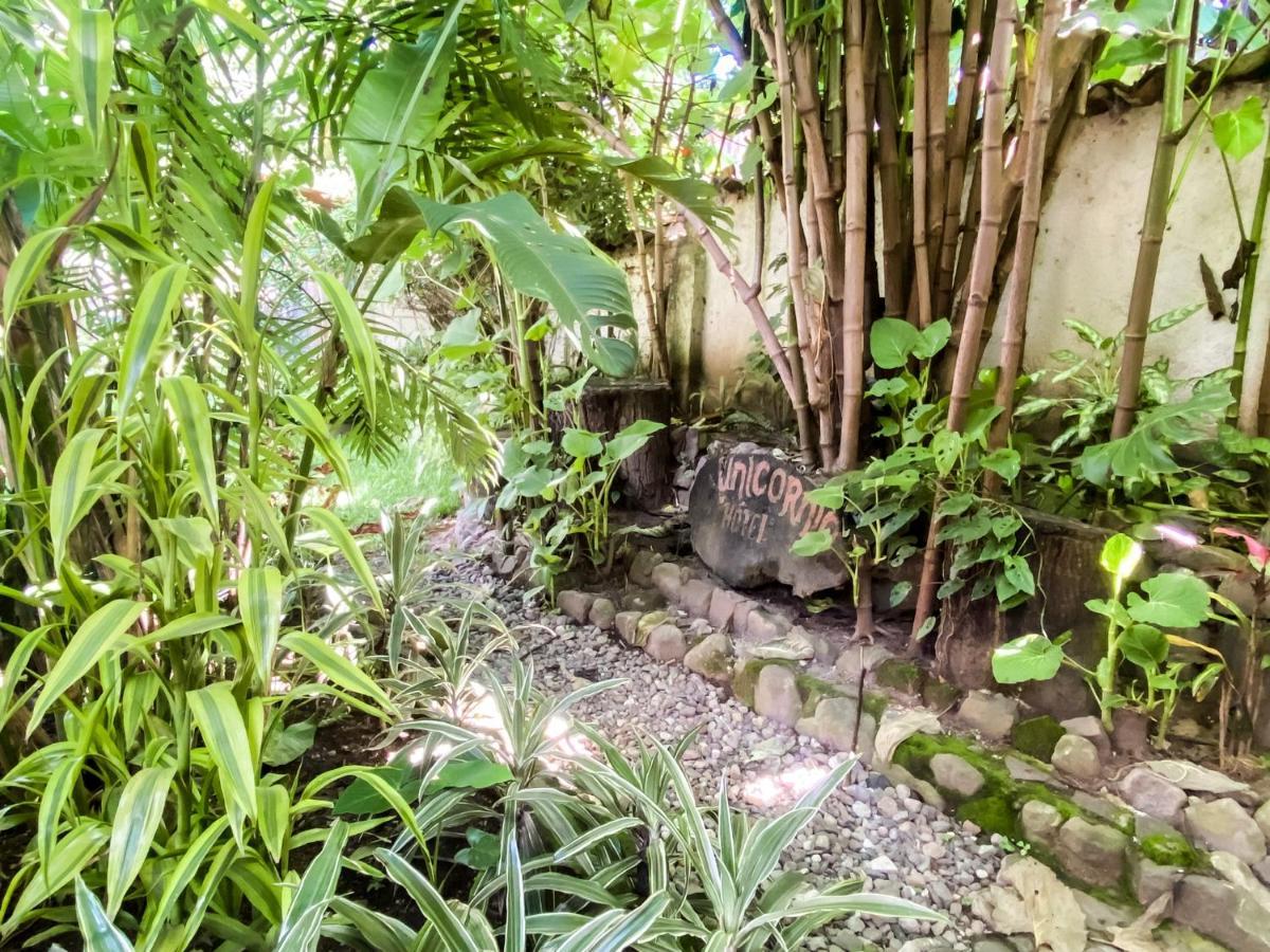 Unicorn Reborn - Peaceful Rentals San Marcos La Laguna Extérieur photo
