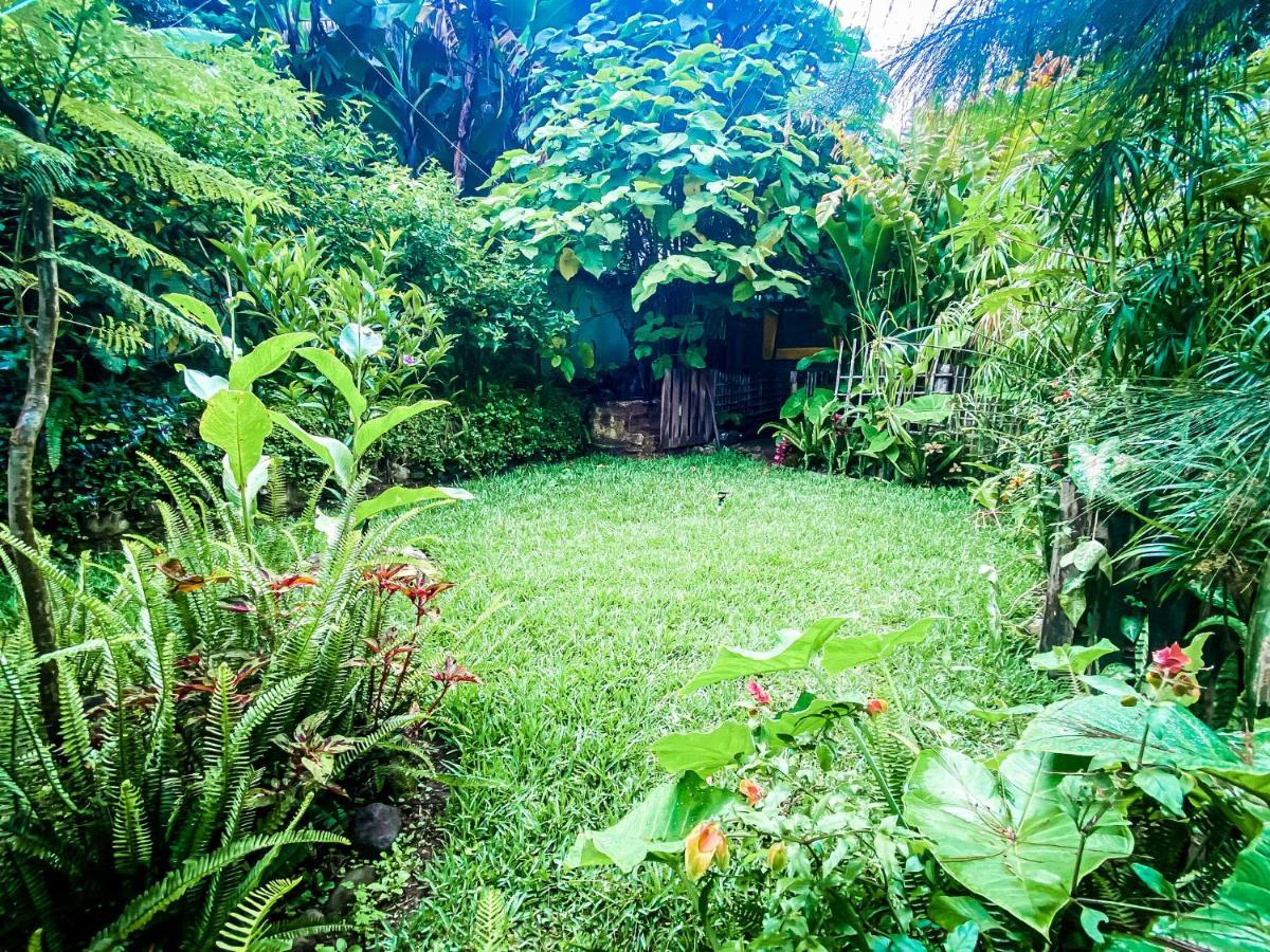 Unicorn Reborn - Peaceful Rentals San Marcos La Laguna Extérieur photo