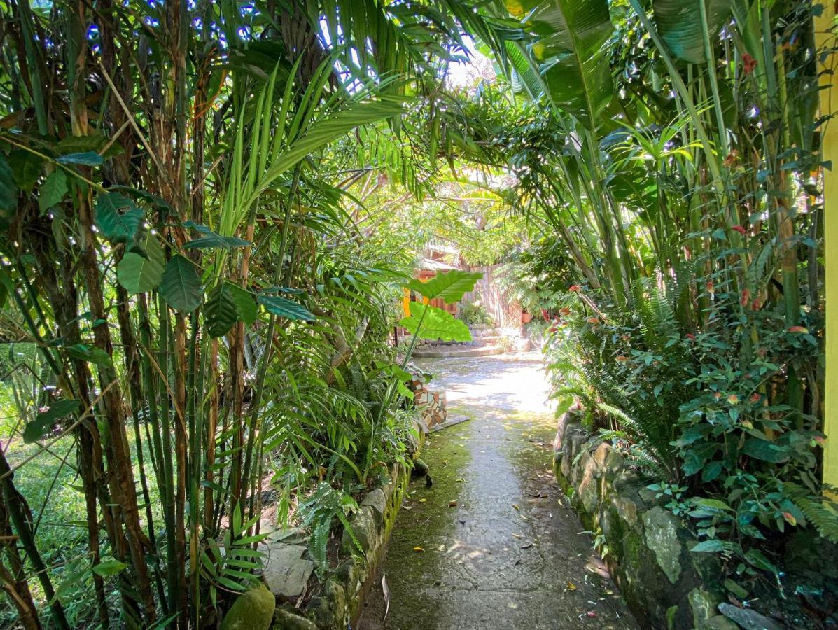 Unicorn Reborn - Peaceful Rentals San Marcos La Laguna Extérieur photo