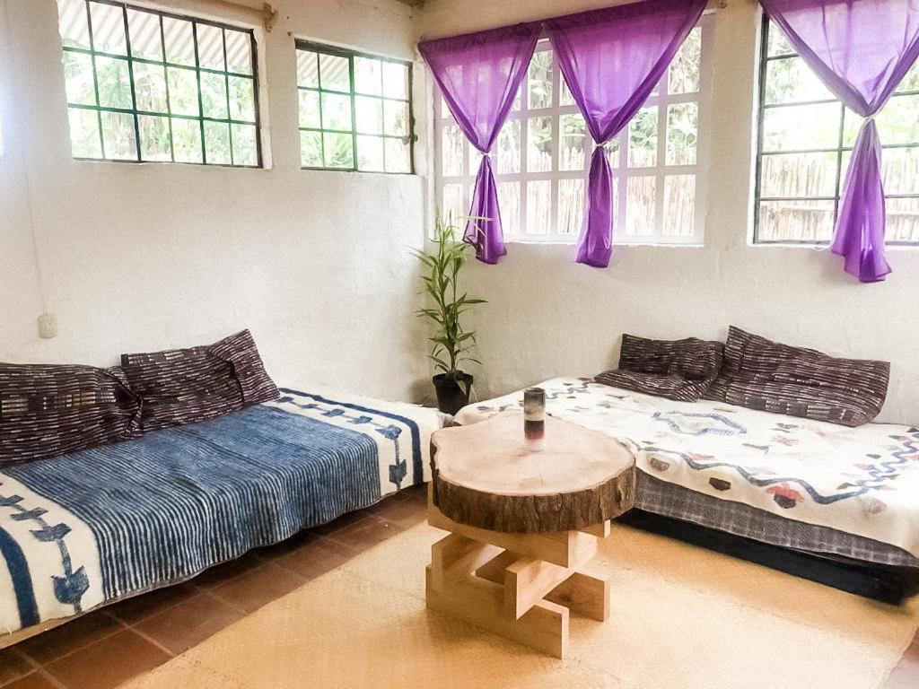 Unicorn Reborn - Peaceful Rentals San Marcos La Laguna Extérieur photo